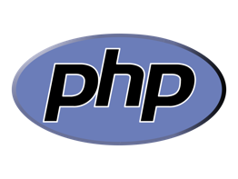 custom-software-development-service-php.png